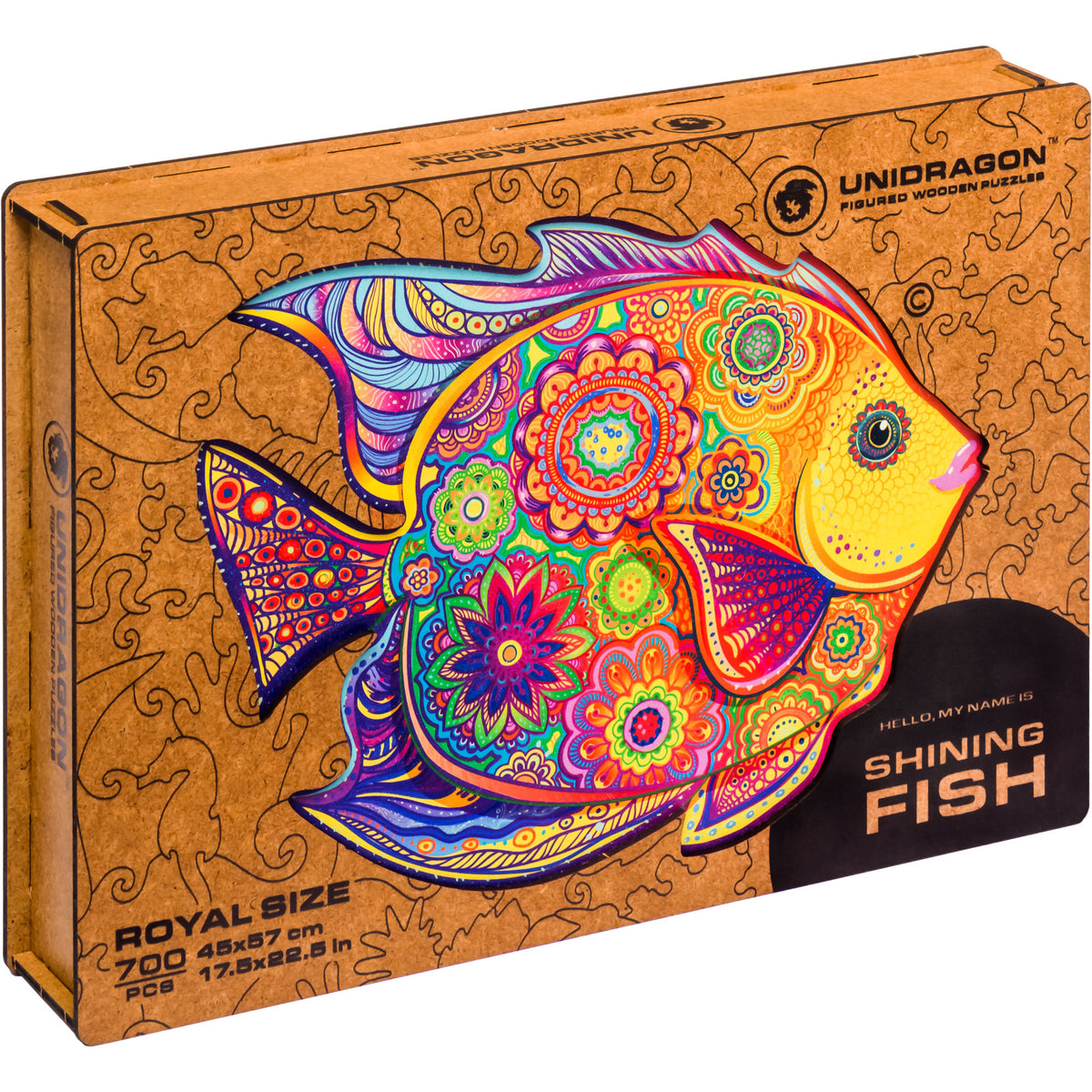 SHINING FISH – The Joy Box