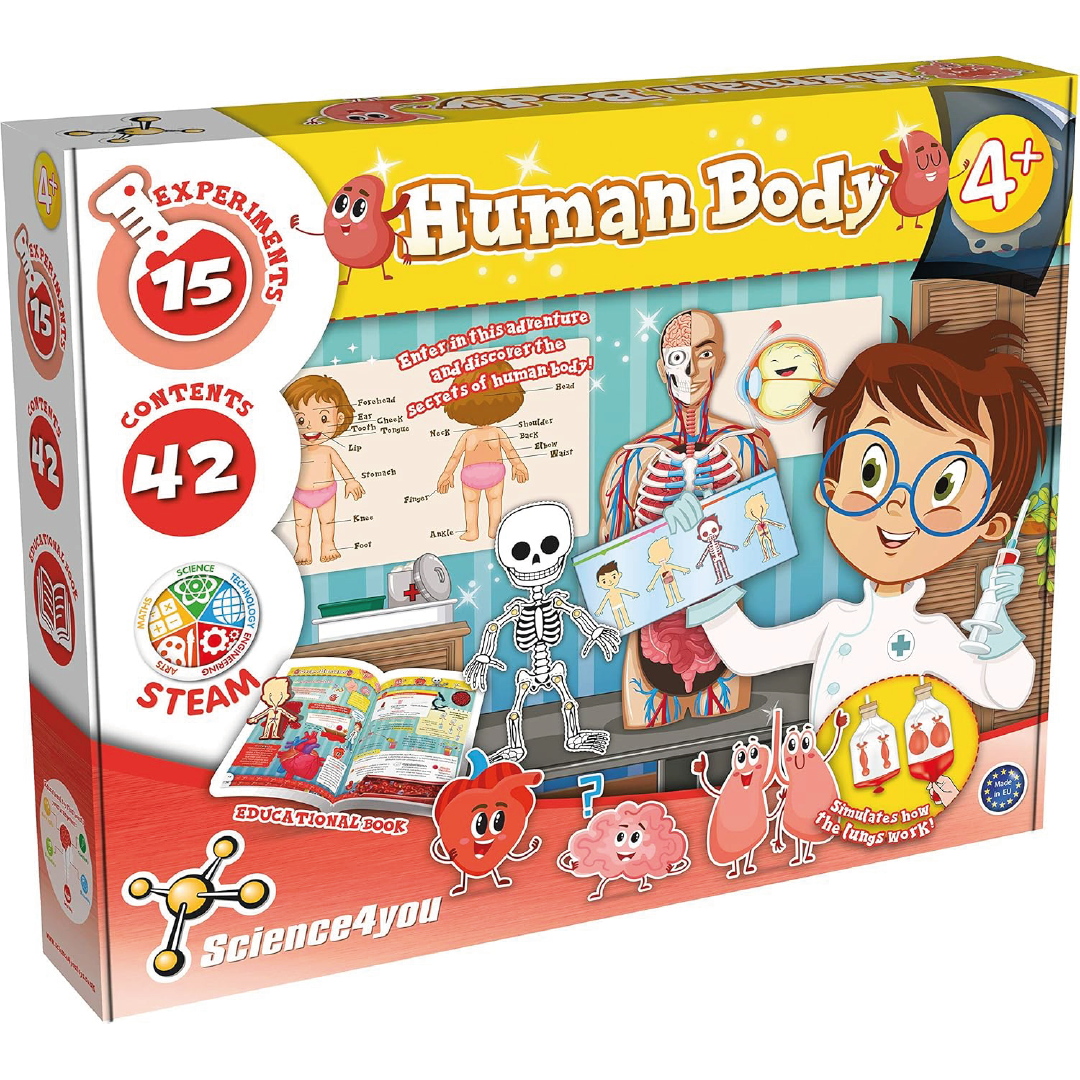 Human Body キット　英語 Human Body キット 英語 Car-Parts-Electronic-Throttle-